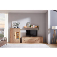 WOHNWAND  in Eiche Artisan  303,2/170/48,2 cm  - Schwarz/Eiche Artisan, KONVENTIONELL, Glas/Holzwerkstoff (303,2/170/48,2cm) - Cantus