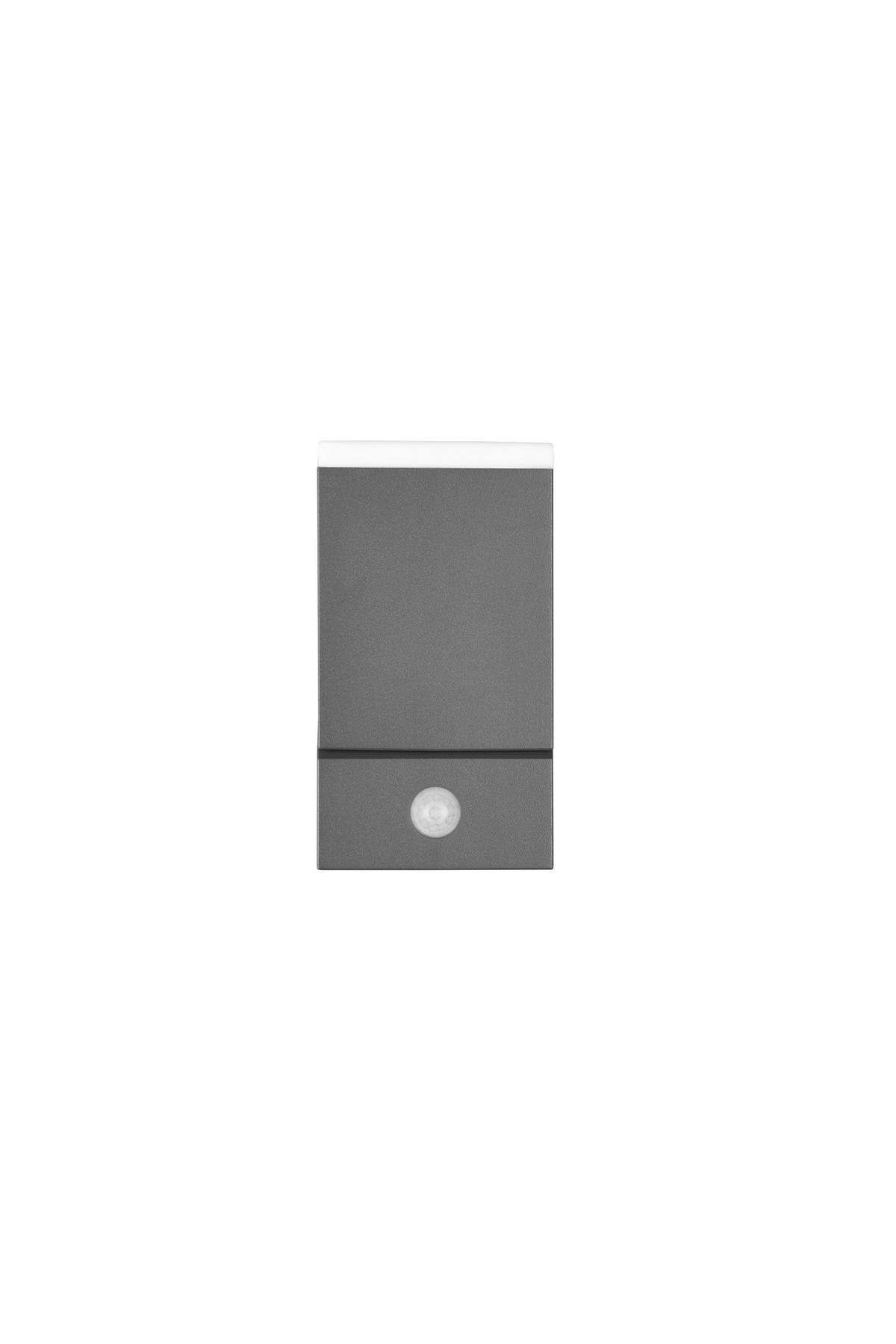 VÄGGLAMPA FÖR UTOMHUS - antracit, Basics, metall/plast (11/9/16cm) - Trio Leuchten