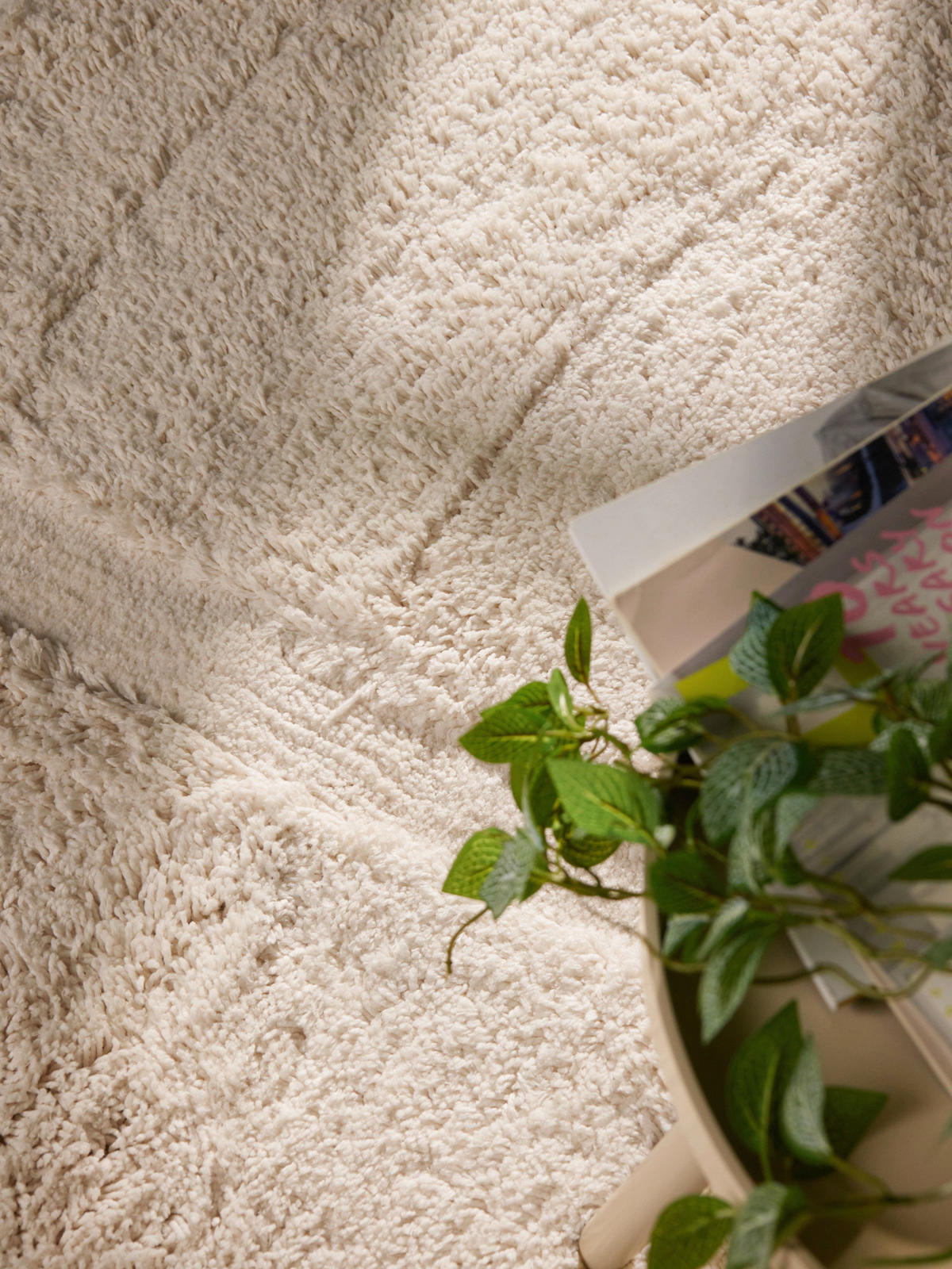 HOCHFLORTEPPICH 150 cm Jasper Creme  - Creme, Design, Textil (150cm) - Ted Baker