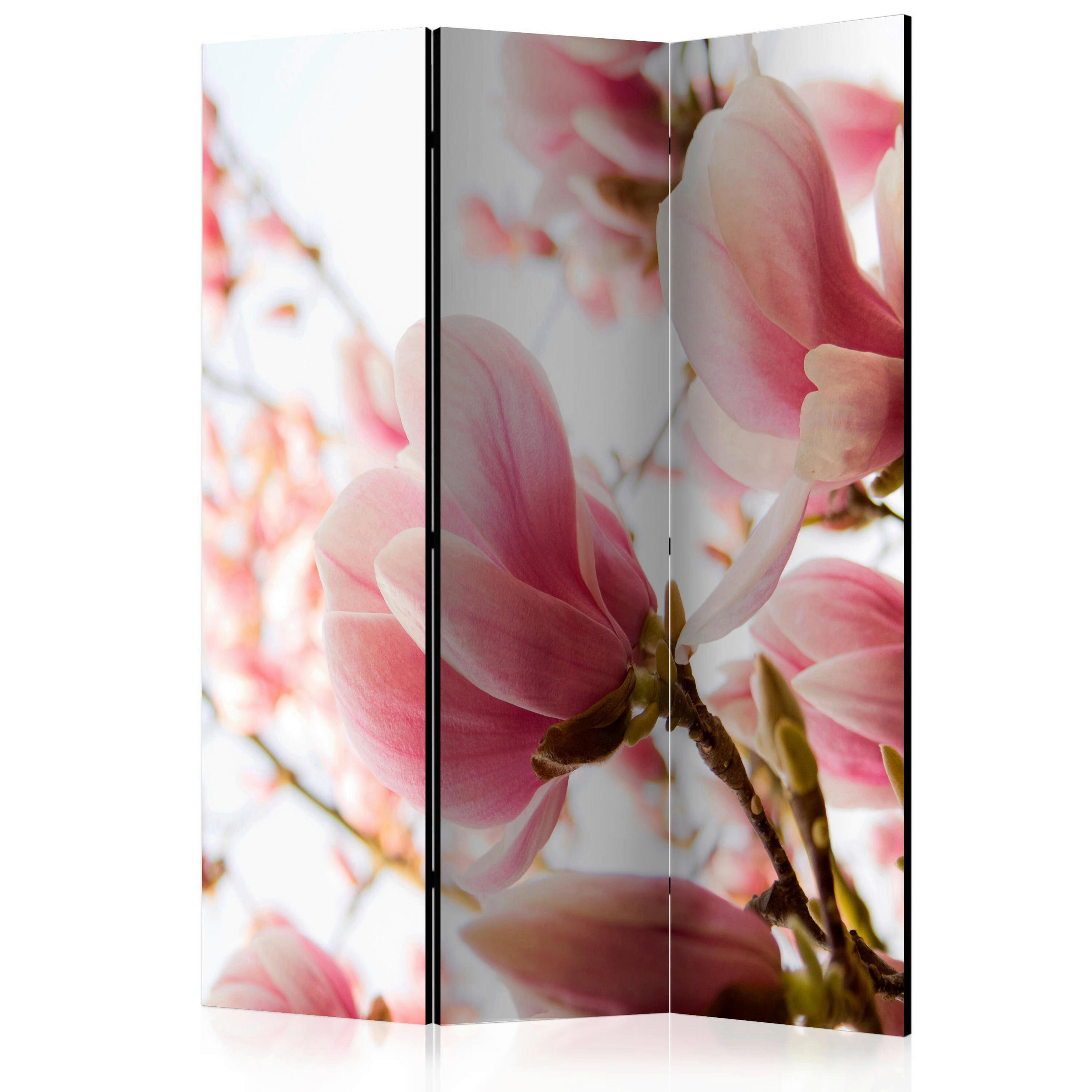 PARAVENT mit 3  Flügel - Pink/Weiß, Basics, Holz/Textil (135/172/3cm) - artgeist