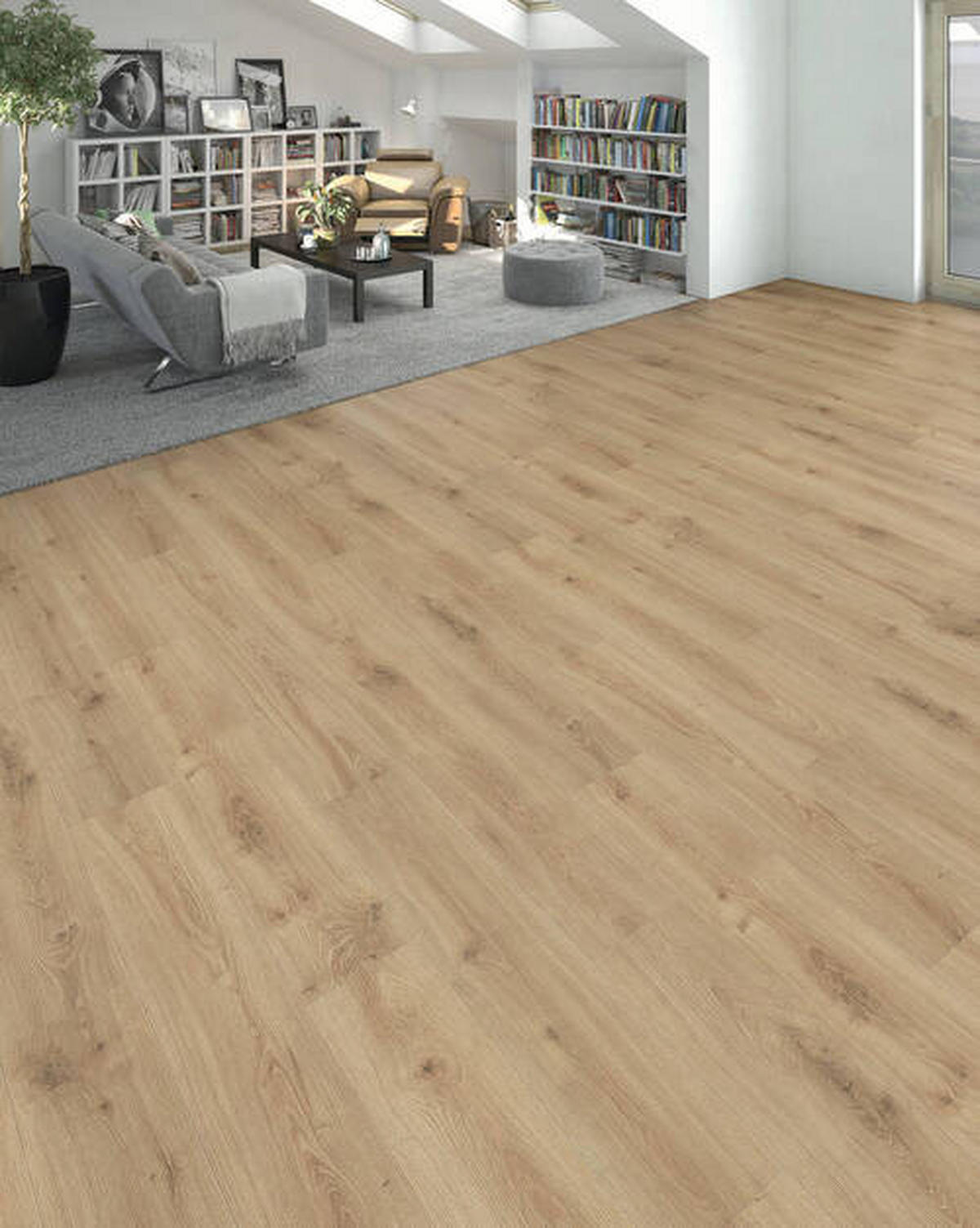 LAMINATBODEN Living by HARO Laminat Sonderedition NKL 31  per  m² - Honigeiche, Basics, Holzwerkstoff (19.3/128.2cm) - Living by HARO