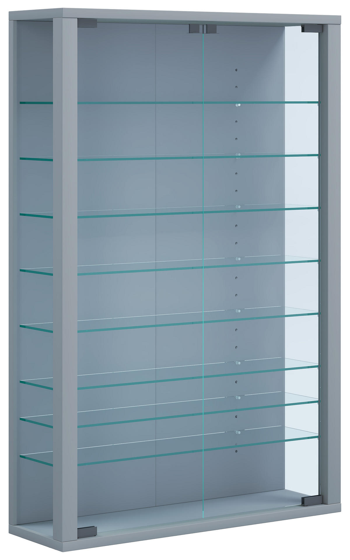 VITRINA, srebrne barve - srebrne barve/črna, Basics, umetna masa/steklo (59/90/18cm) - MID.YOU