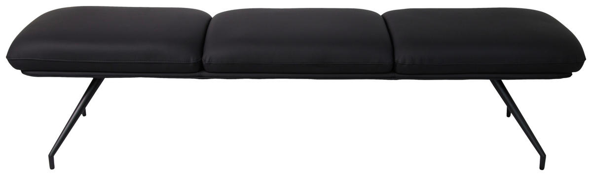 SITZBANK 220/49,5/50 cm  in Schwarz  - Schwarz, Design, Leder/Metall (220/49,5/50cm) - Dieter Knoll