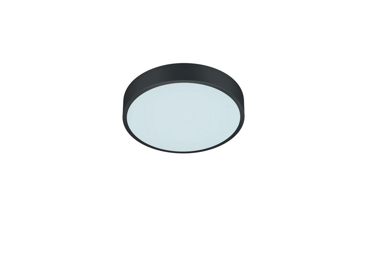 LED-TAKLAMPA Waco 31/6,5 cm  - svart, Design, metall (31/6,5cm) - Trio Leuchten