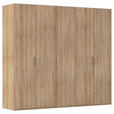DREHTÜRENSCHRANK 251/223/60 cm 5-türig Sonoma Eiche  - Silberfarben/Sonoma Eiche, Design, Holzwerkstoff/Kunststoff (251/223/60cm) - Novel
