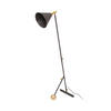 STEHLEUCHTE  30/148/42 cm   - Goldfarben/Schwarz, Design, Kunststoff/Metall (30/148/42cm) - Kayoom