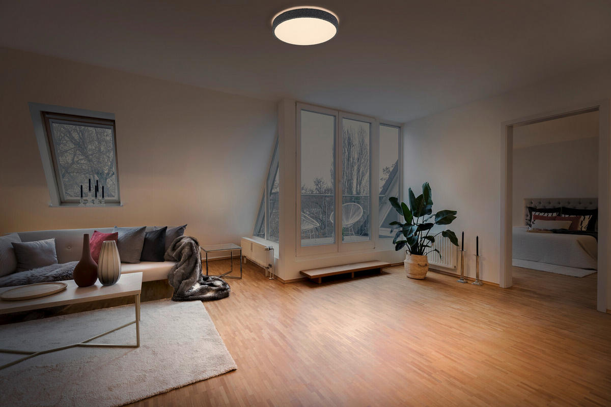 LED-DECKENLEUCHTE 28,5/6,5 cm   - KONVENTIONELL, Metall (28,5/6,5cm) - Ledvance