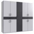 DREHTÜRENSCHRANK  in Graphitfarben, Weiß  - Schwarz/Graphitfarben, KONVENTIONELL, Holzwerkstoff/Kunststoff (225/208/58cm) - Carryhome