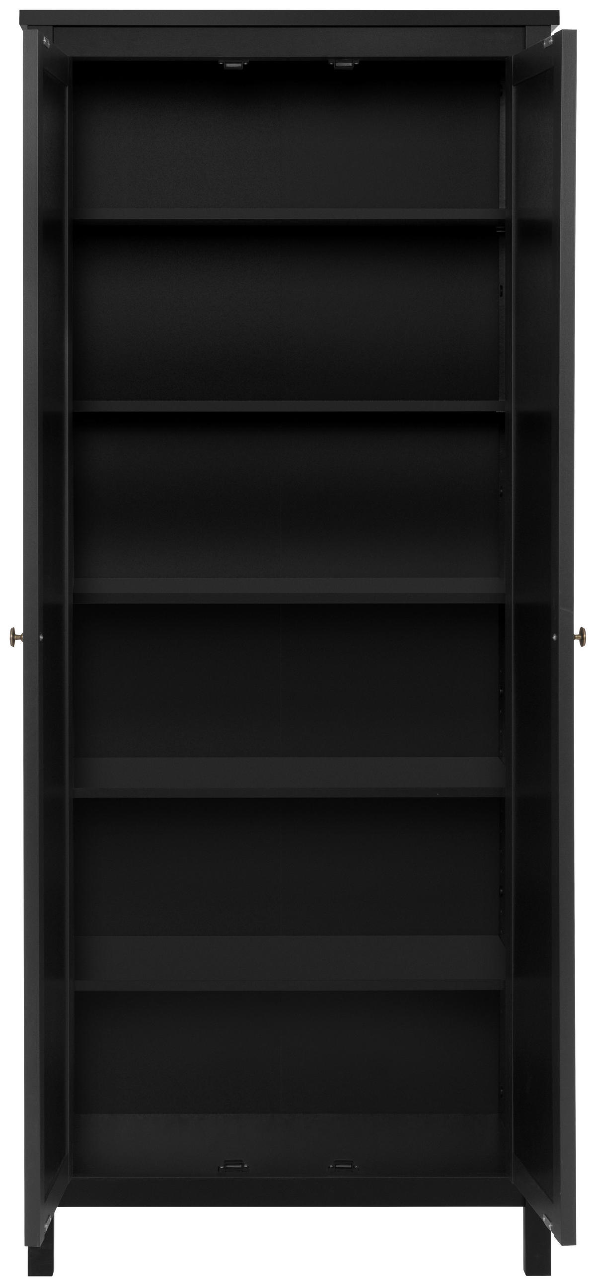 MULTISKÅP 80/187/40 cm 2-dörrar - mässingsfärgad/svart, Trend, metall/trämaterial (80/187/40cm) - MID.YOU