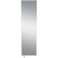 SCHUHSCHRANK 50/195/18 cm  - Anthrazit, Design, Glas/Holzwerkstoff (50/195/18cm) - Xora