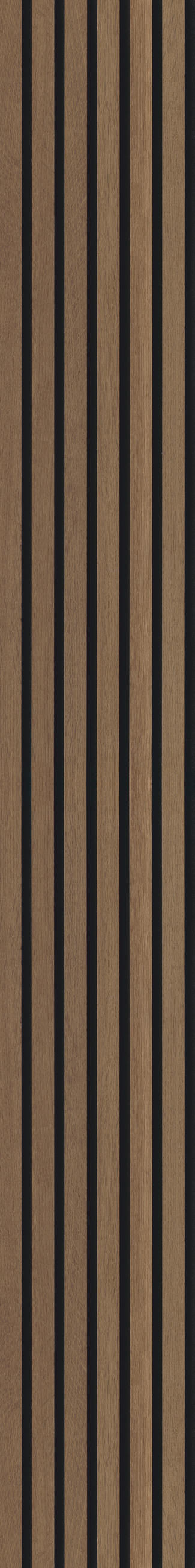 AKUSTIKPANEEL Echtholz 250/30 Echtholz Eiche rustikal acous Comfort  - Eichefarben, KONVENTIONELL, Holz/Kunststoff (250/30/1.1cm) - Novel