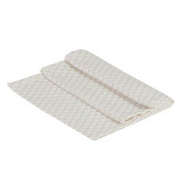 NADPRT  BENJAMIN  40/140 cm        - Konvencionalno (40/140cm)