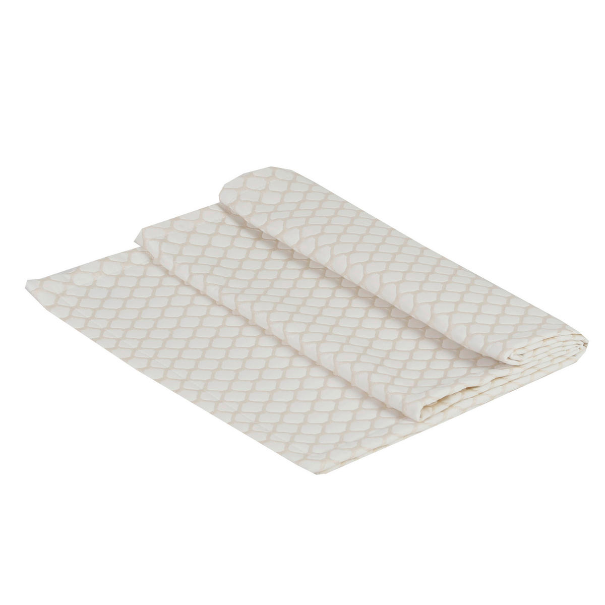 NADPRT  BENJAMIN  40/140 cm        - Konvencionalno (40/140cm)