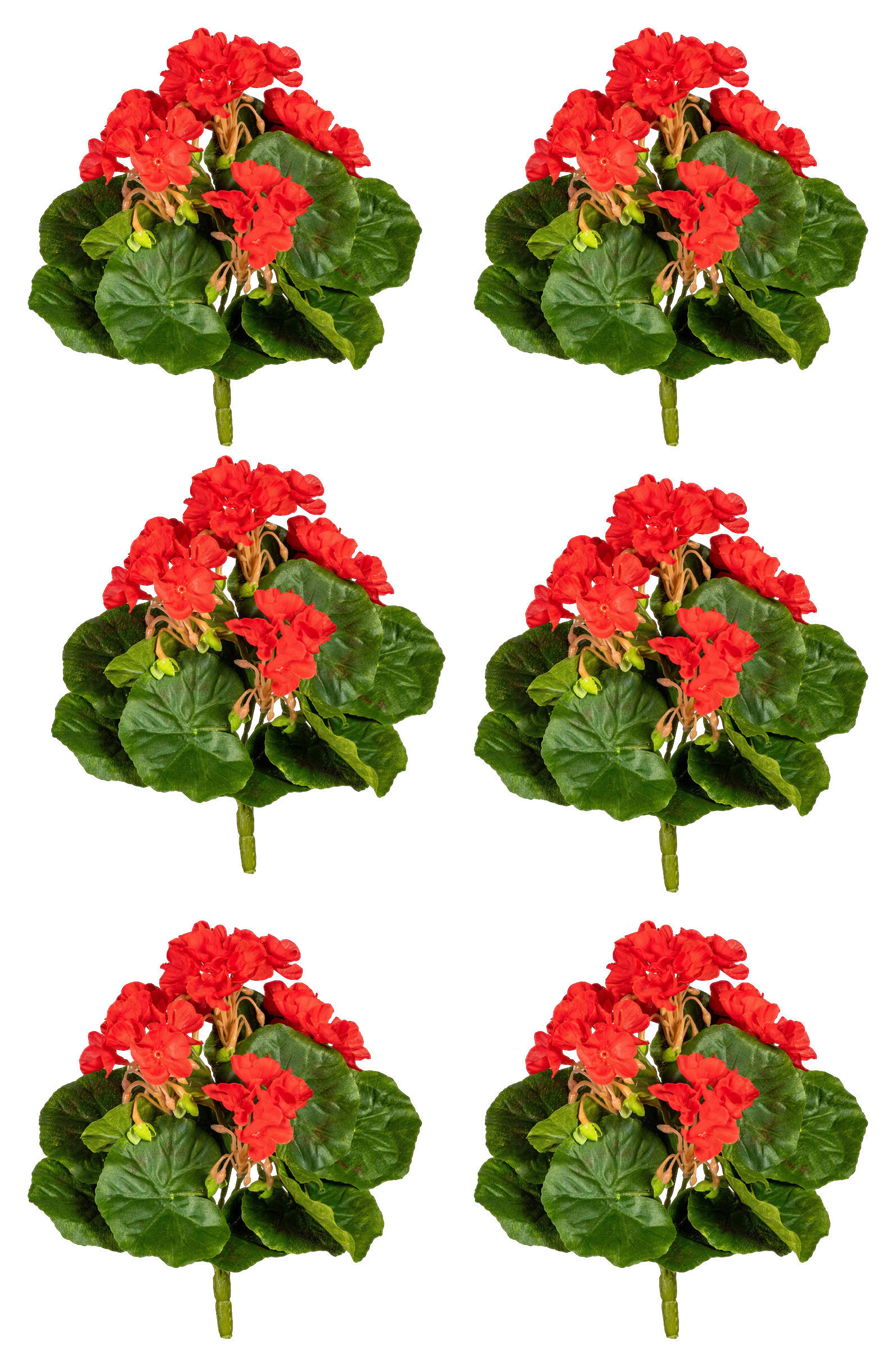 KUNSTPFLANZE Geranie 24 cm  - Rot/Grün, Design, Kunststoff (24cm) - P & B