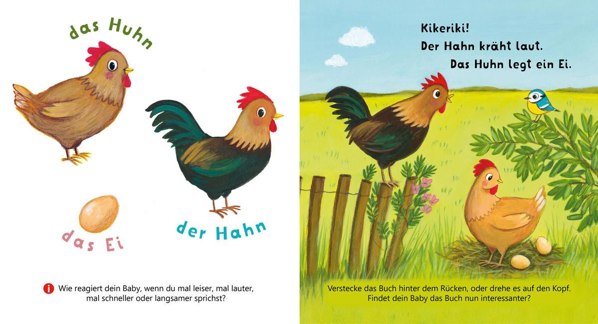 BUCH - Multicolor, Basics, Papier (14/14/1,8cm) - Carlsen