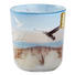 KERZE IM GLAS - Basics, Glas (7,3/7,3/8,0cm) - Bolsius KERZE IM GLAS - Basics, Glas (7,3/7,3/8,0cm) - Bolsius