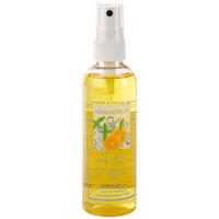 POKOJOVÁ VŮNĚ pomeranč, máta, 100 ml - přírodní barvy, Basics, plast (100ml)