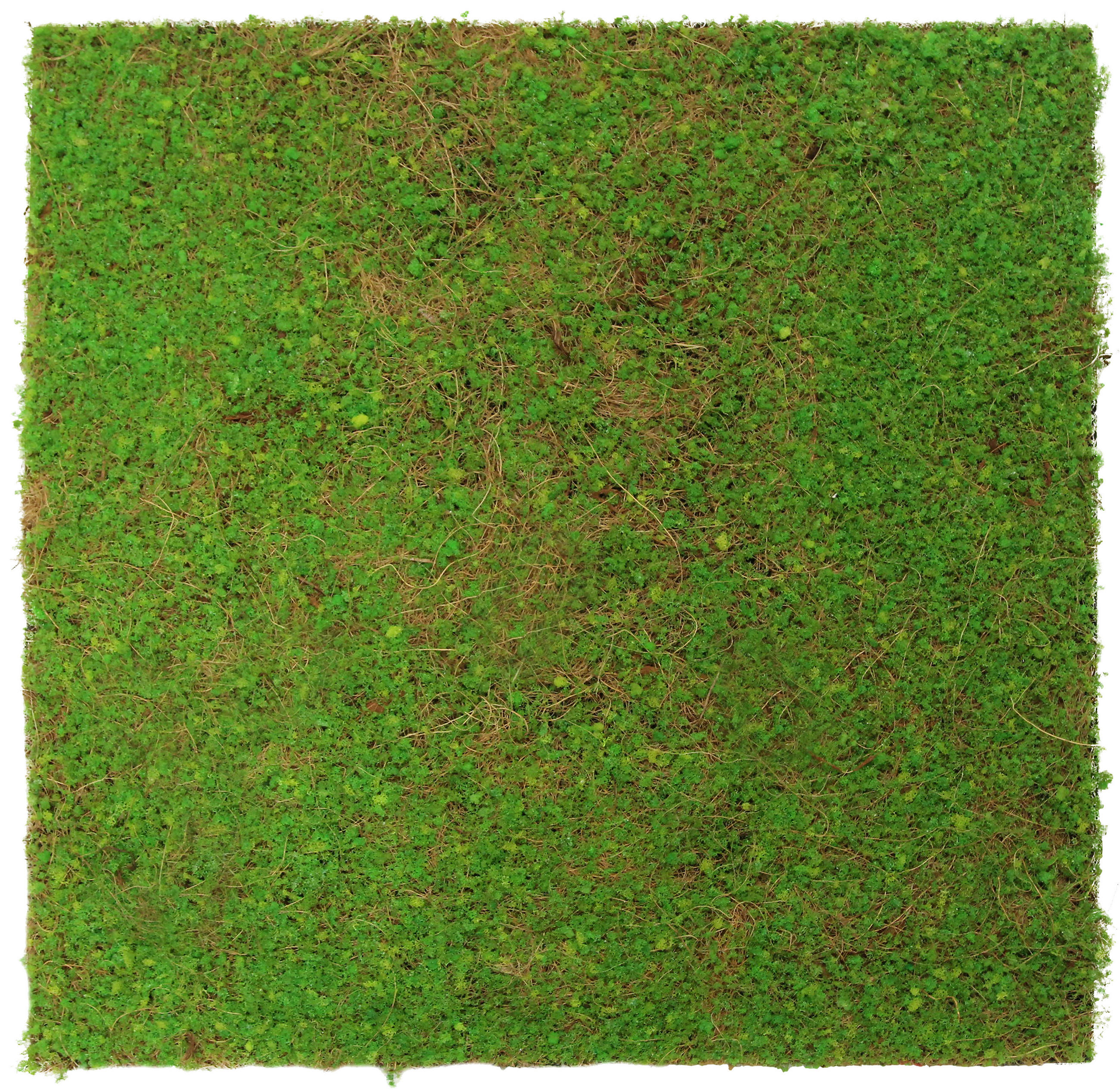 AKUSTIKPANEEL Modular Wall System Design Flora 52/52/2 cm  - Hellgrün, Modern, Kunststoff (52/52/2cm) - Jangal