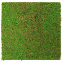 AKUSTIKPANEEL Modular Wall System Design Flora 52/52/2 cm  - Hellgrün, MODERN, Kunststoff (52/52/2cm) - Jangal