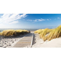 LEINWANDBILD Strand & Meer  - Multicolor, LIFESTYLE, Holz/Papier (180/100/3cm) - Euroart