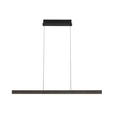 LED-HÄNGELEUCHTE  118/10/170 cm    - Schwarz, Design, Kunststoff/Metall (118/10/170cm) - Dieter Knoll