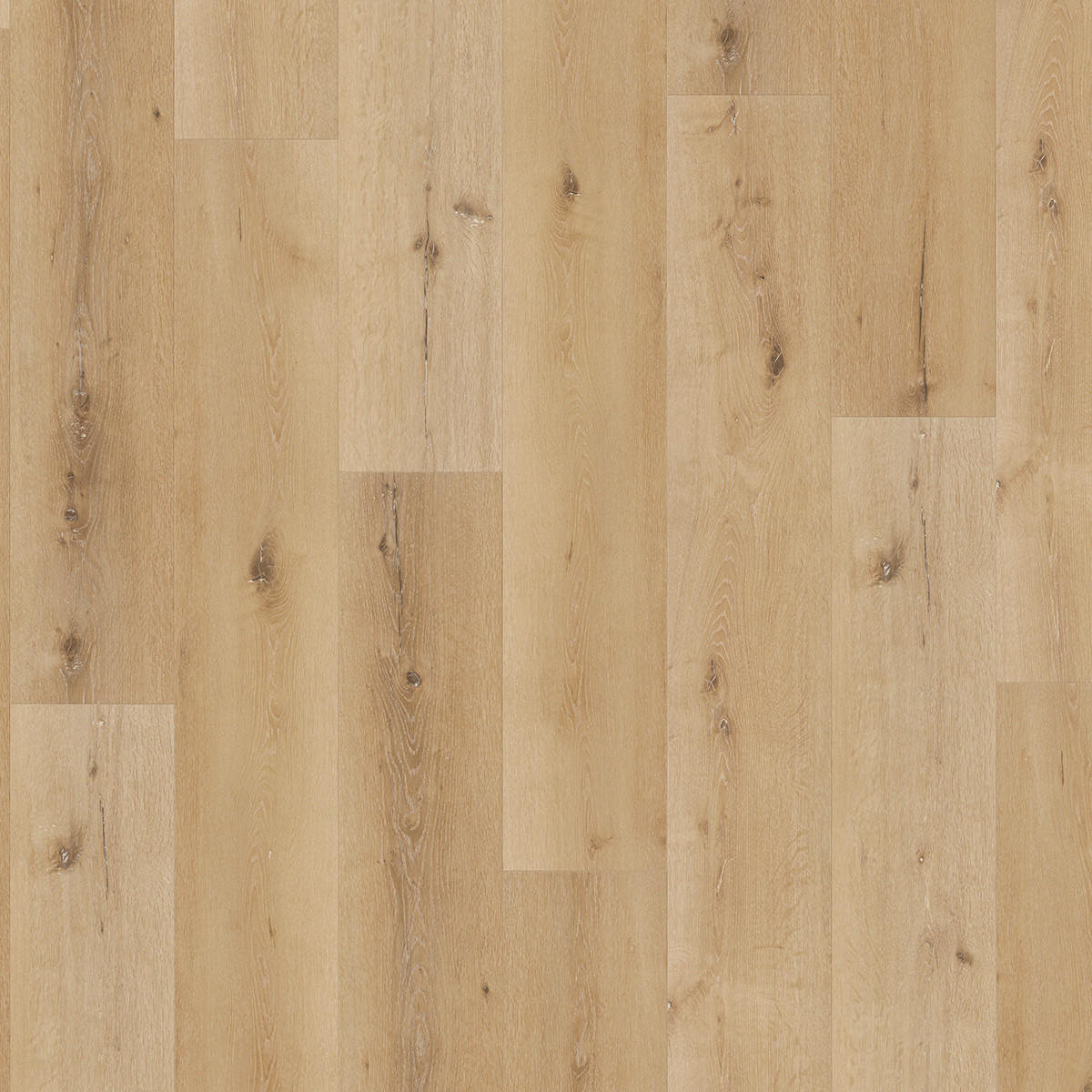 DESIGNBODEN Trendtime 8 1744831  per  m² - Eichefarben, Design, Kunststoff (152,2/22,5/0,06cm) - Parador