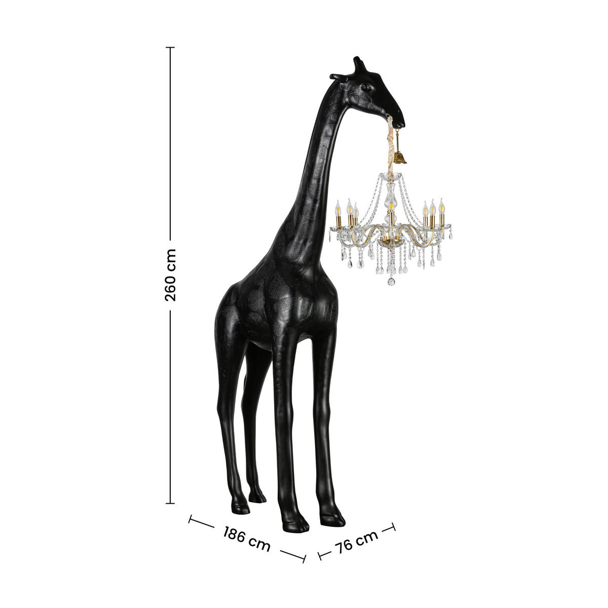 STOJACÍ LAMPA, 186/75/260 cm - černá/průhledné, Design, kov/plast (186/75/260cm) - Glandor