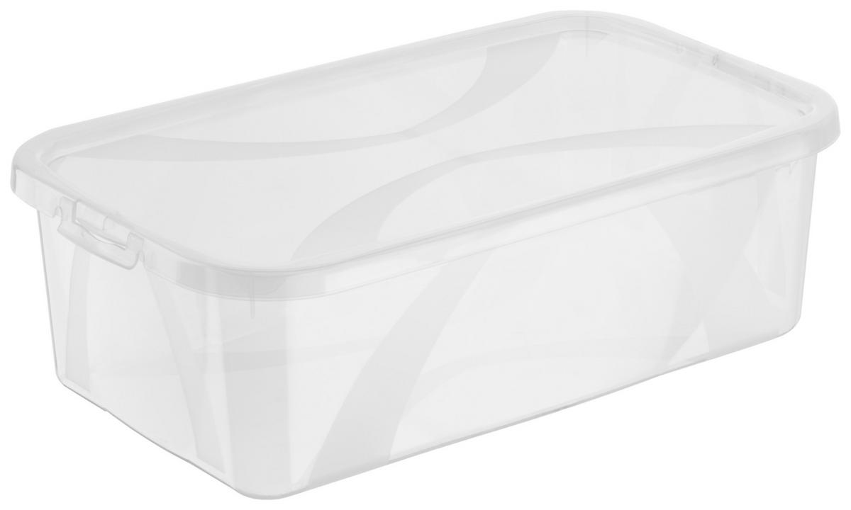 BOX MIT DECKEL ARCO  - Transparent, Basics, Kunststoff (34/20/11cm) - Rotho