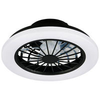 STROPNÝ VENTILÁTOR, 38,5/14 cm  - priehľadné/čierna, Trend, kov/plast (38,5/14cm) - Mican