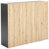 HÄNGESCHUHSCHRANK Anthrazit, Eiche Artisan  - Anthrazit/Eiche Artisan, Design, Holzwerkstoff (120/100/34cm) - Hom`in