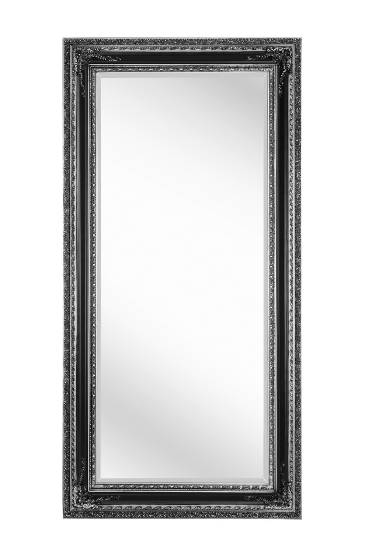 WANDSPIEGEL 100/200/6 cm    in rechteckig  - Silberfarben, LIFESTYLE, Glas/Holz (100/200/6cm) - Carryhome