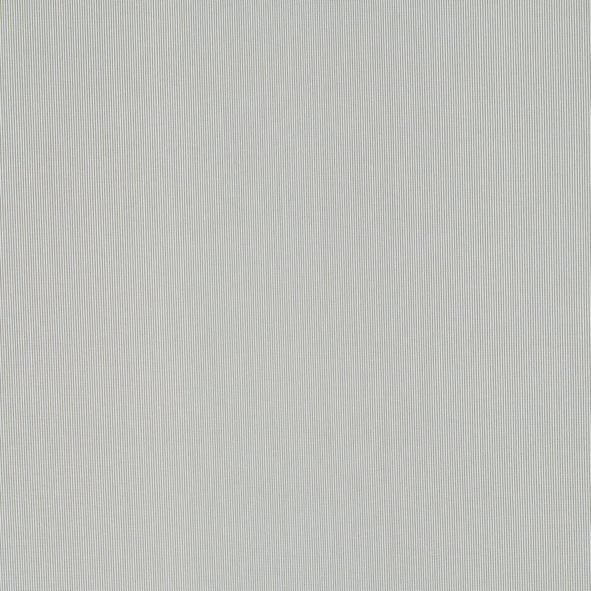 STORE per lfm  - Grün, Basics, Textil (280cm) - Esposa