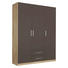 DREHTÜRENSCHRANK in Grau, Eichefarben - Eichefarben/Silberfarben, Design, Holzwerkstoff/Kunststoff (136/197/54cm) - Carryhome DREHTÜRENSCHRANK in Grau, Eichefarben - Eichefarben/Silberfarben, Design, Holzwerkstoff/Kunststoff (136/197/54cm) - Carryhome