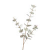 EUKALYPTUS ZWEIG Eukalyptus  - Weiß, Basics, Kunststoff (68cm)