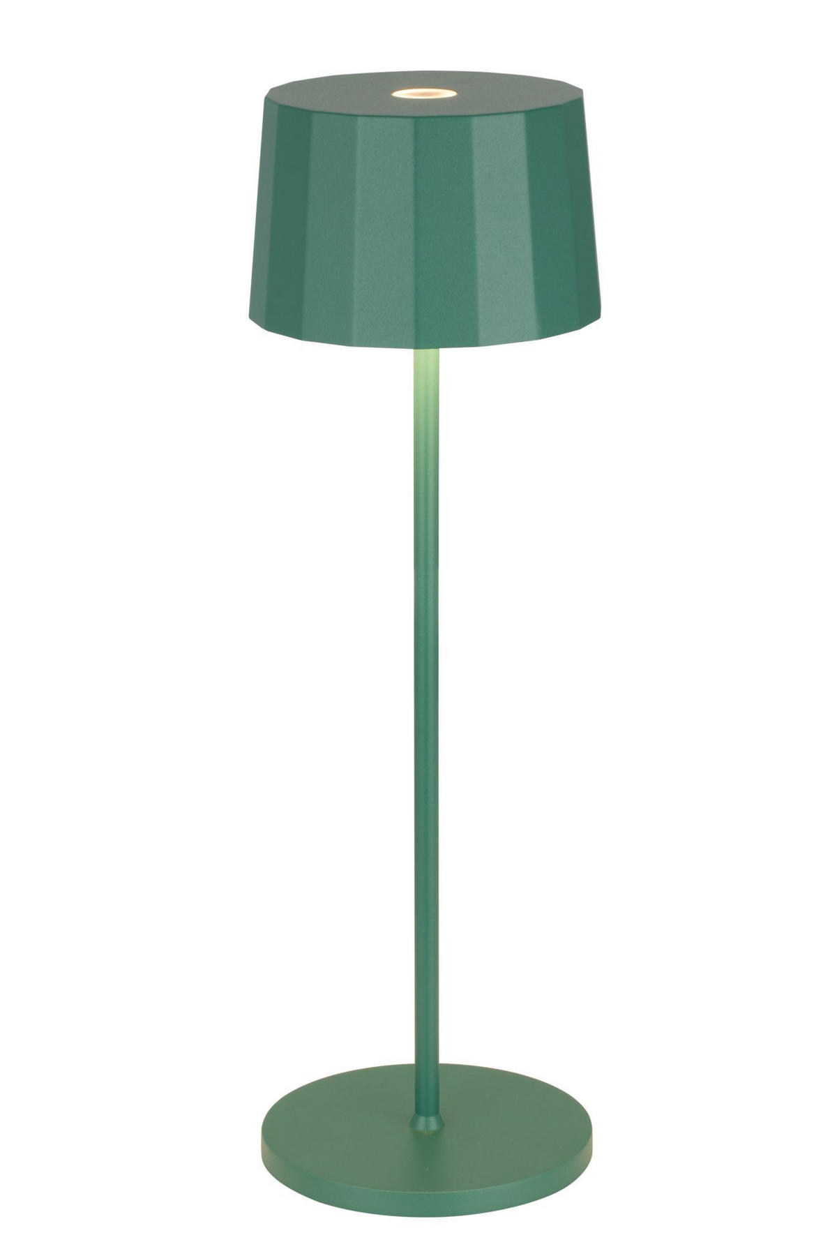 VEIOZĂ CU LED - verde închis, Basics, plastic/metal (11/35cm) - Dieter Knoll
