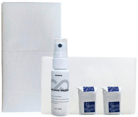 REINIGUNGSSET - Basics (0,25l) - Schock