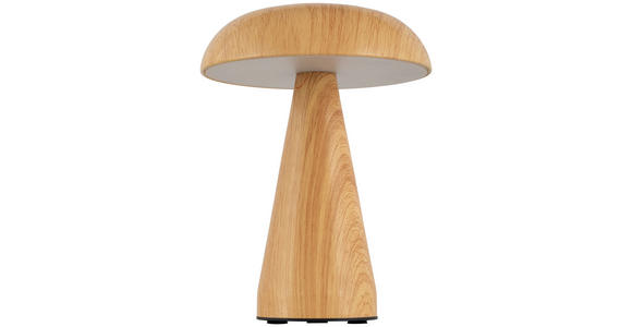 TISCHLEUCHTE - Naturfarben, Trend, Kunststoff/Metall (15,5/21cm) - Novel