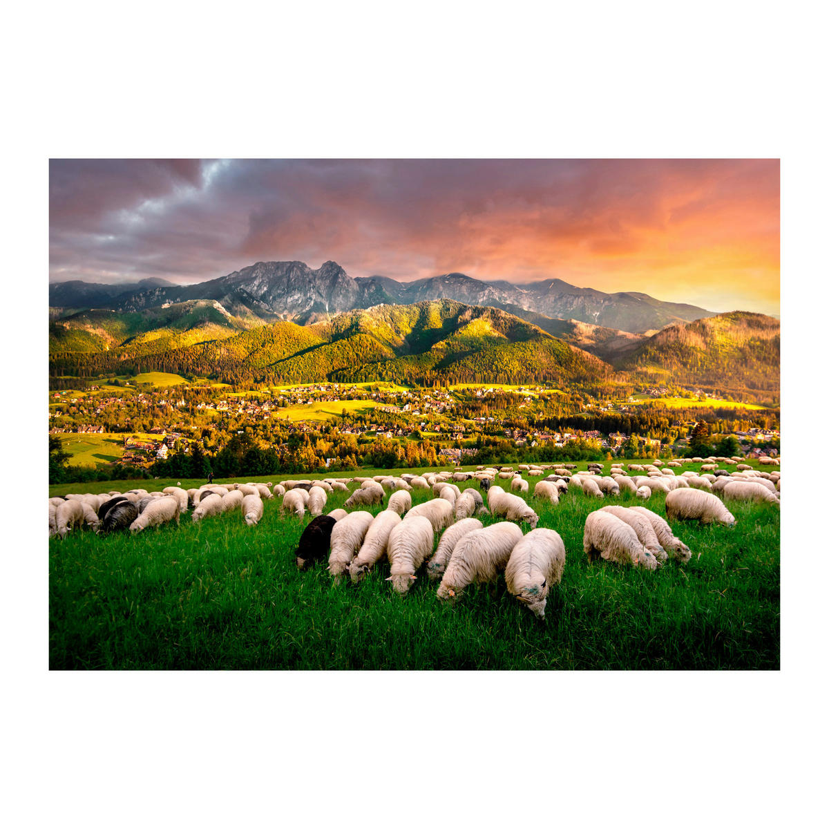 LEINWANDBILD Landschaft & Natur 70/100 cm  - Multicolor, Basics, Holz/Textil (70/100cm)