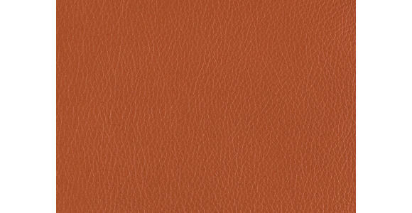 RÉCAMIERE in Echtleder Cognac - Chromfarben/Cognac, Design, Leder/Metall (209/85-109/95-16cm) - Dieter Knoll