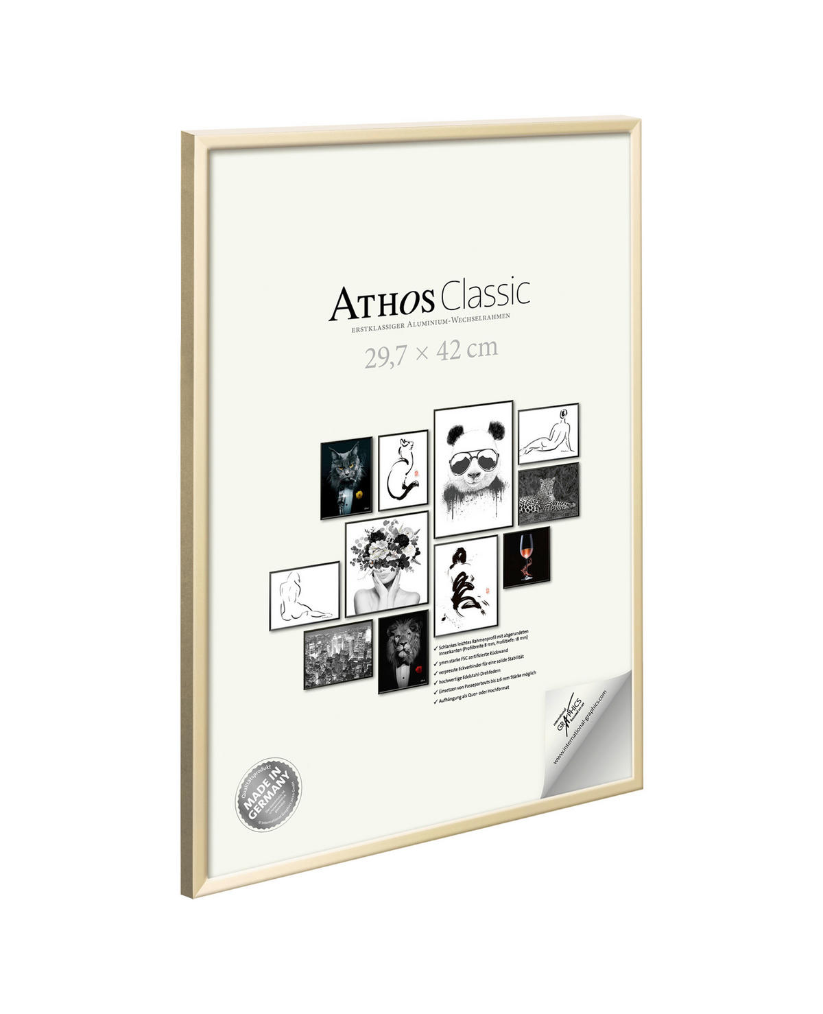 BILDERRAHMEN - Goldfarben, Basics, Papier/Holzwerkstoff (29,7/42/1,8cm)