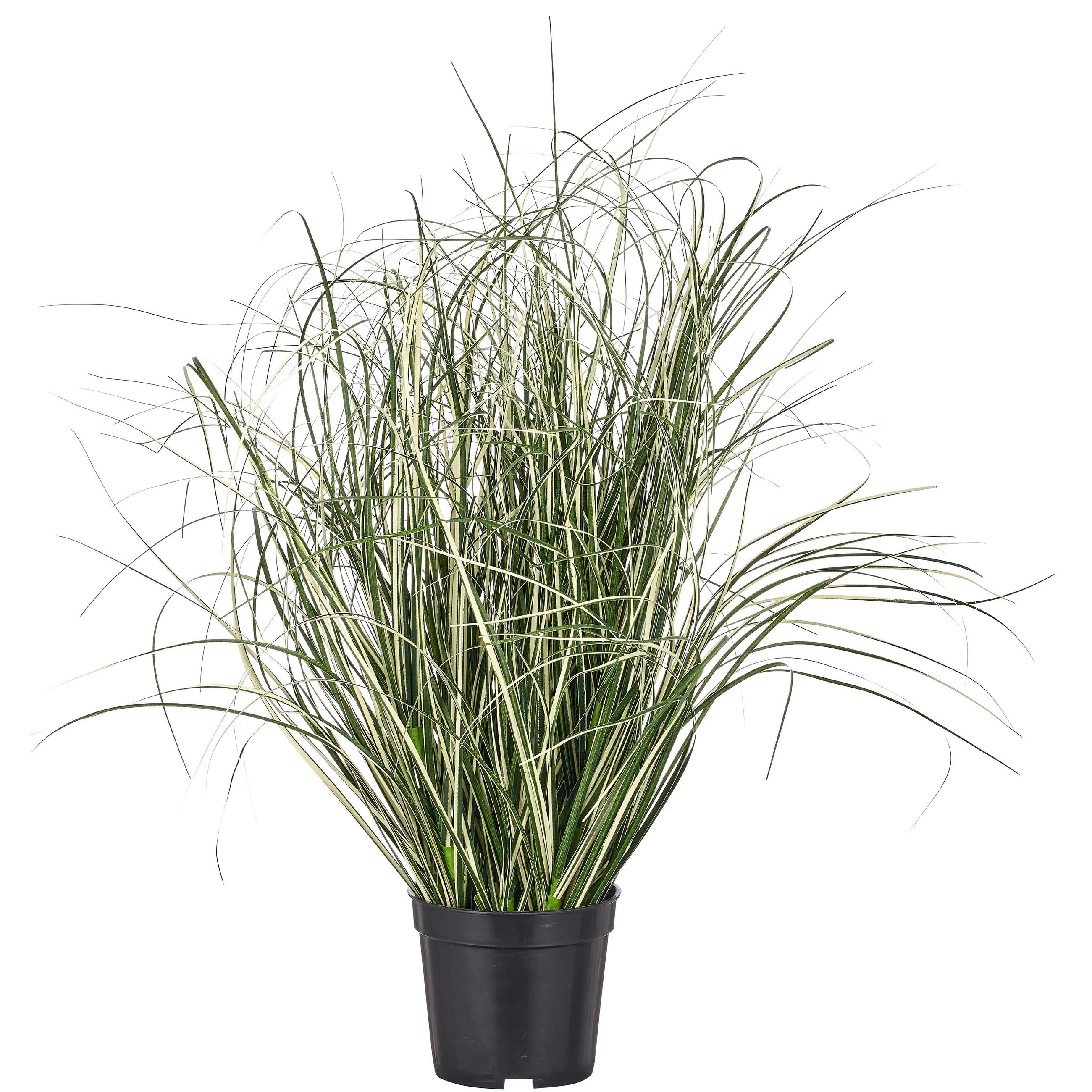 KUNSTPFLANZE Grasbündel 50 cm  - Schwarz/Grün, Basics, Kunststoff (50cm)