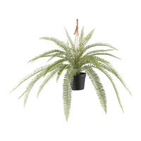 KUNSTPFLANZE Farn 45 cm  - Schwarz/Hellgrün, Design, Kunststoff (45cm) - P & B