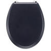 WC-SITZ Anthrazit  - Anthrazit, Basics, Kunststoff (45/36/5cm)