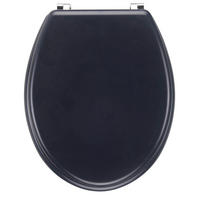 WC-SITZ Anthrazit  - Anthrazit, Basics, Kunststoff (45/36/5cm)