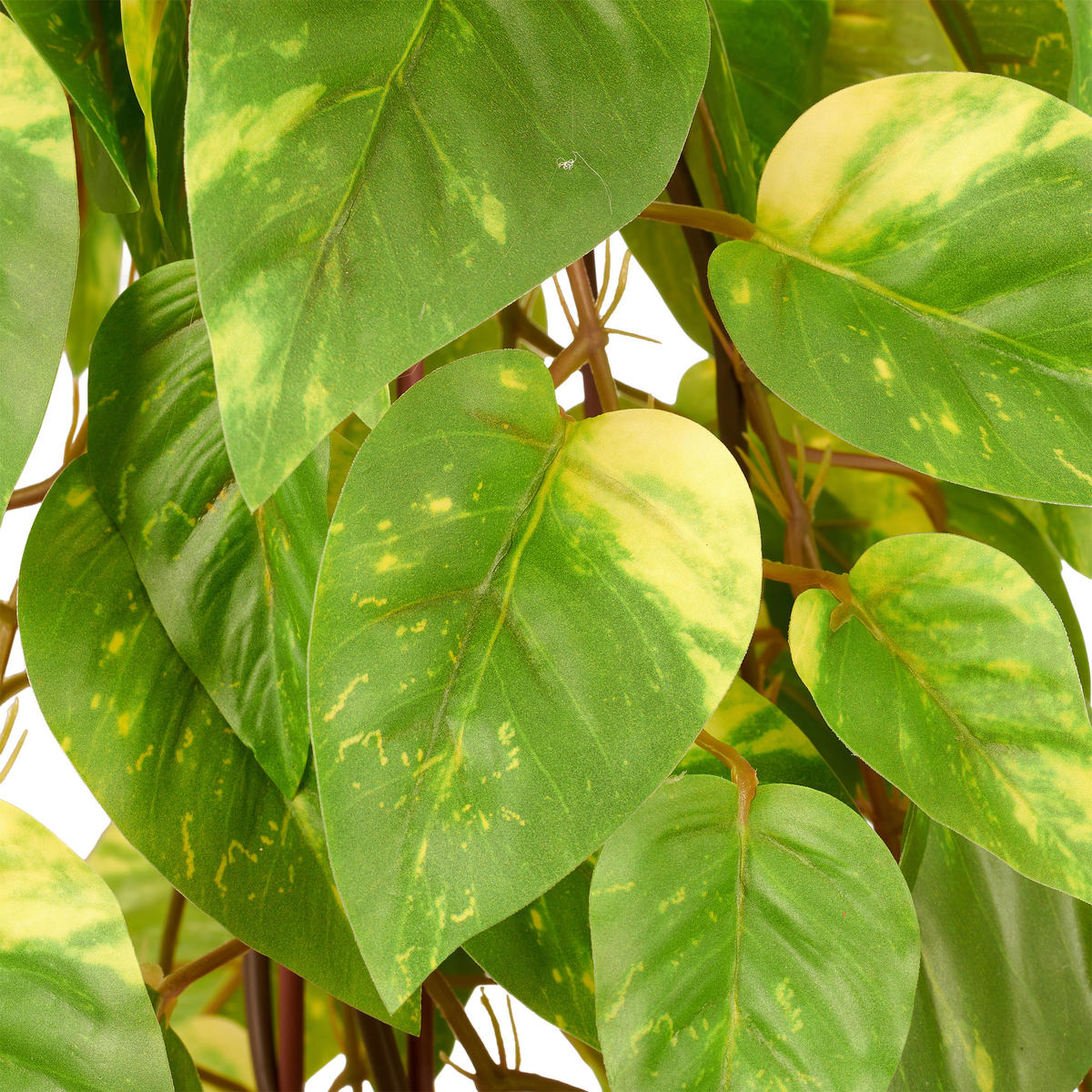 KUNSTPFLANZE Efeutute 95 cm  - Schwarz/Grün, Basics, Kunststoff (95cm)
