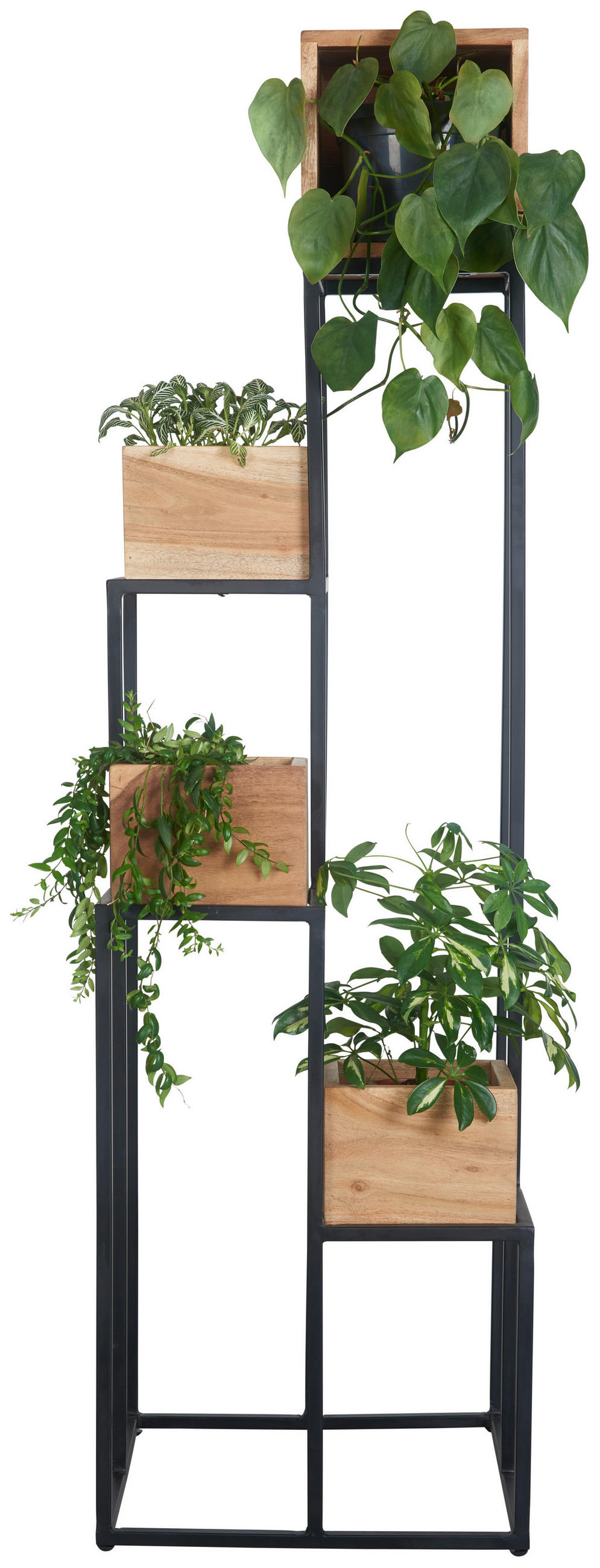 STOJAN NA KVETY, akácia, čierna, farba akácie - čierna/farba akácie, Trend, kov/drevo (42,5/42,5/150cm) - Ambia Home