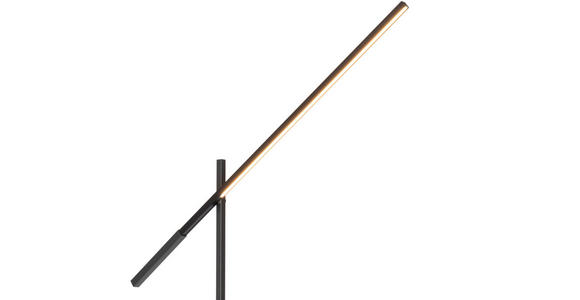 LED-STEHLEUCHTE 27-150/19/162-248 cm - Schwarz, Design, Metall (27-150/19/162-248cm) - Dieter Knoll