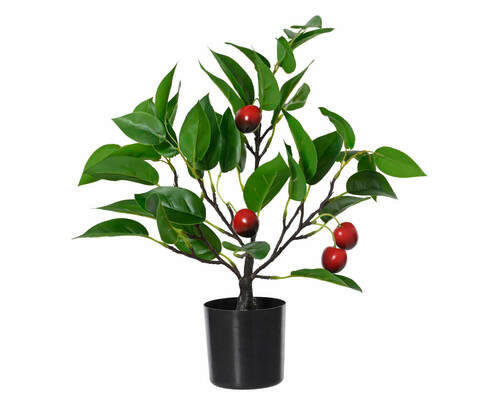 Aceasta este imaginea corespunzatoare acestui obiect