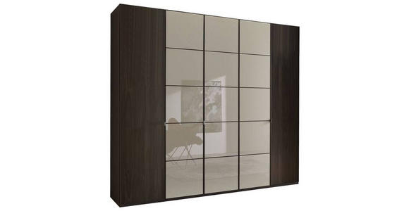 DREHTÜRENSCHRANK  in Grau, Eichefarben, Mokka  - Schieferfarben/Eichefarben, MODERN, Glas/Holzwerkstoff (250/216/58cm) - Novel