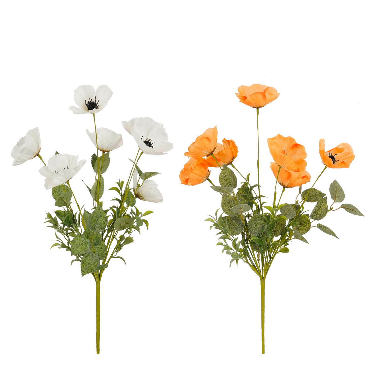 MAK  - boje marelice/bijela, Basics (53cm)
